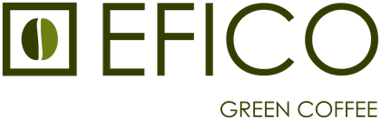 Efico Logo